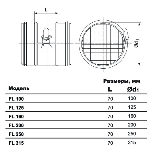 FL-100 фильтр